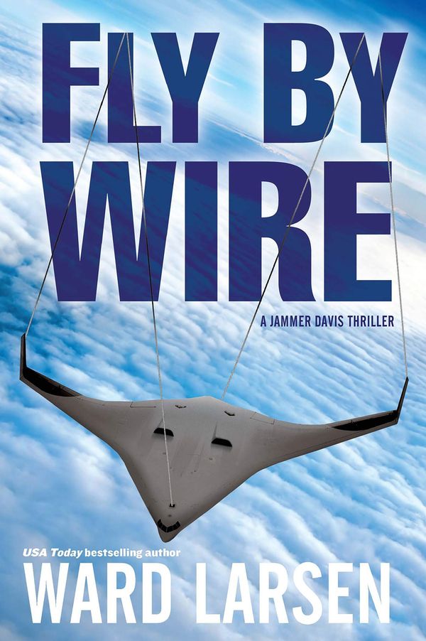 Fly By Wire Book Cover