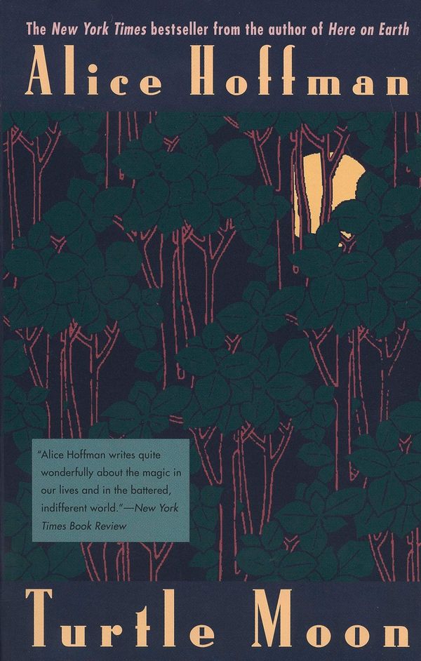 Turtle Moon Book Cover