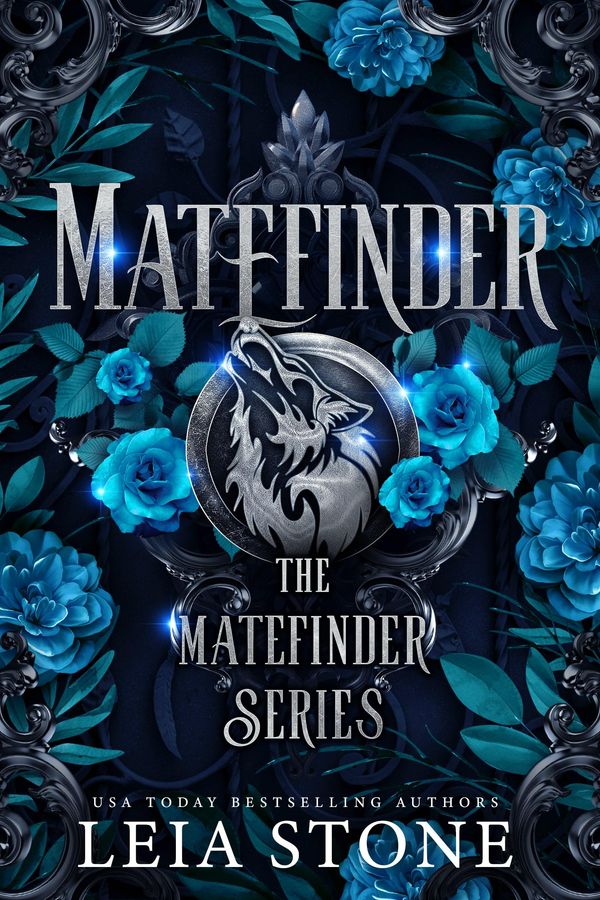 Matefinder cover