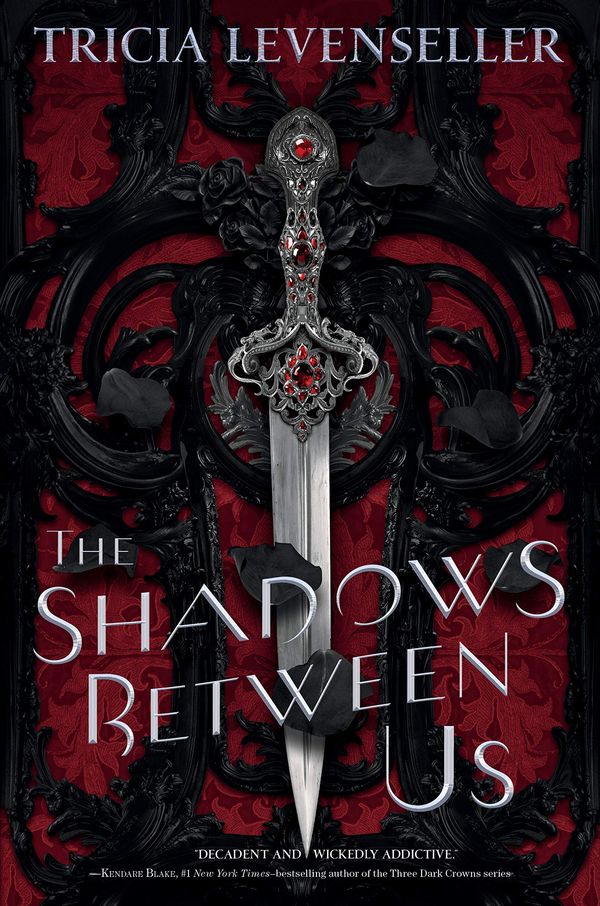 The Shadows Between Us Book Cover