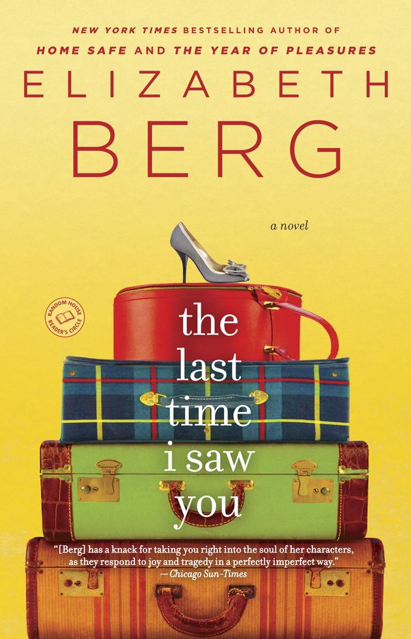 The Last Time I Saw You Book Cover