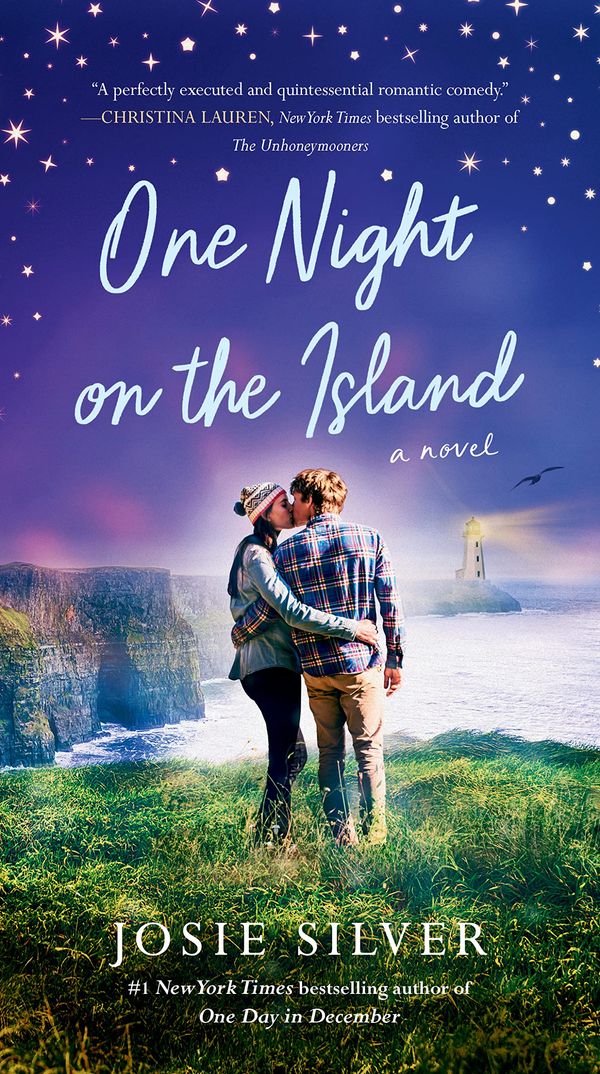 One Night on the Island Book Cover