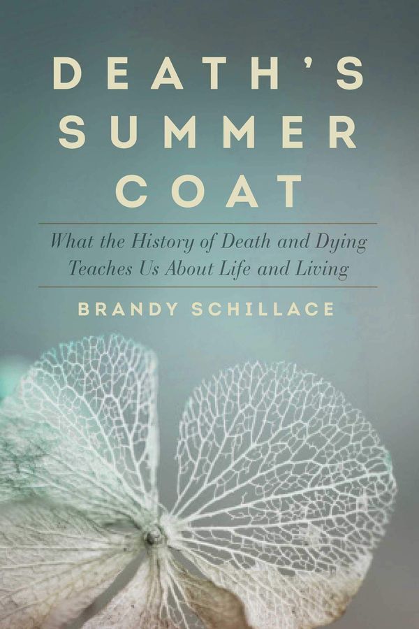 Death's Summer Coat Book Cover