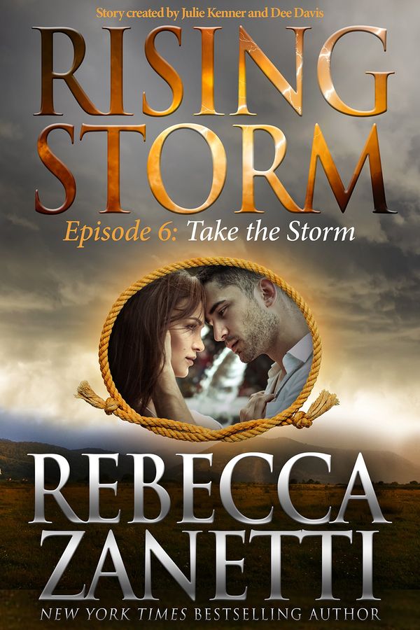 Take the Storm Book Cover