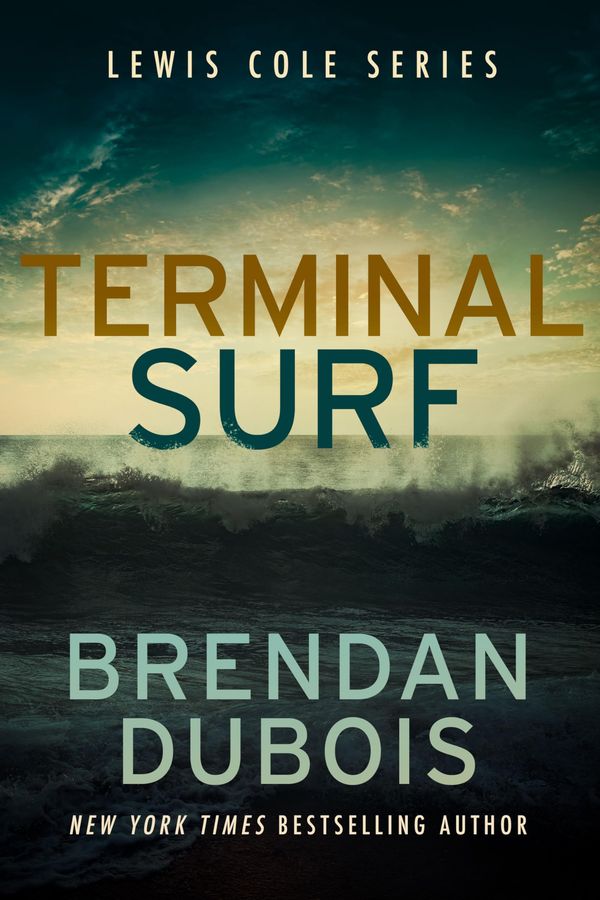 Terminal Surf Book Cover