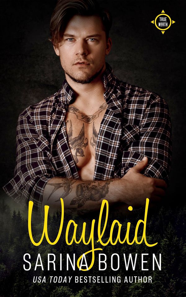 Waylaid Book Cover