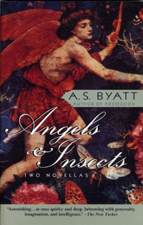 Angels & Insects Book Cover