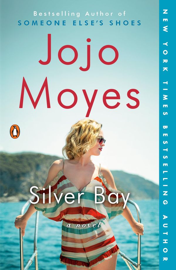 Silver Bay Book Cover
