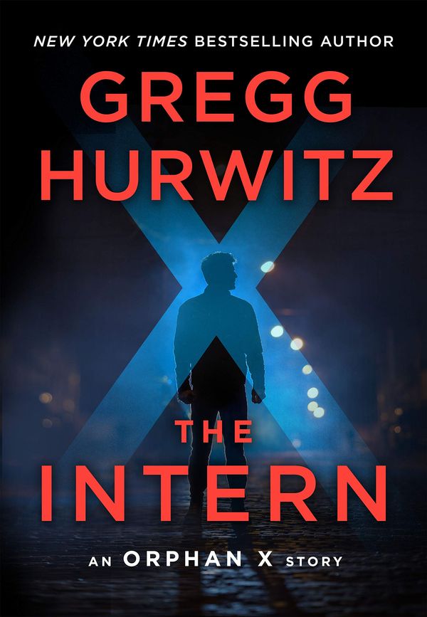 The Intern Book Cover