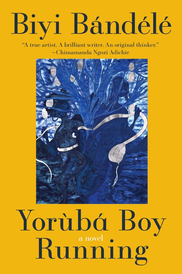 Yoruba Boy Running Book Cover