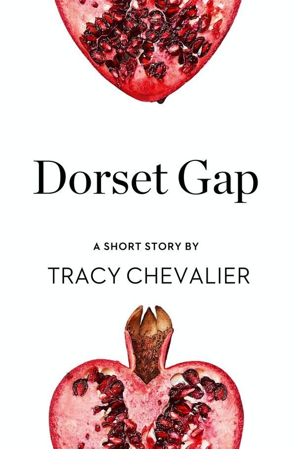 Dorset Gap Book Cover