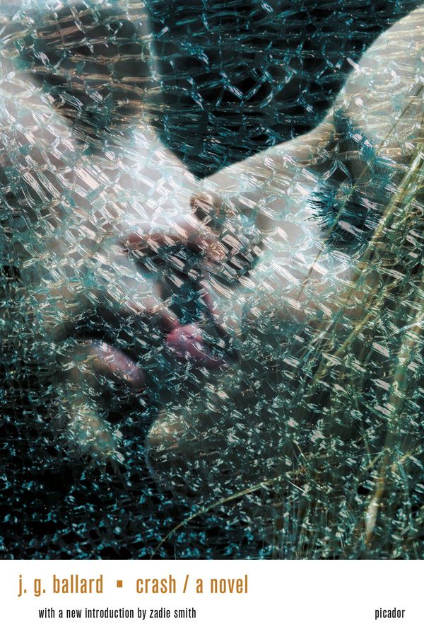 Crash Book Cover