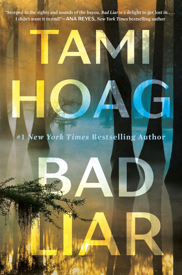 Bad Liar Book Cover