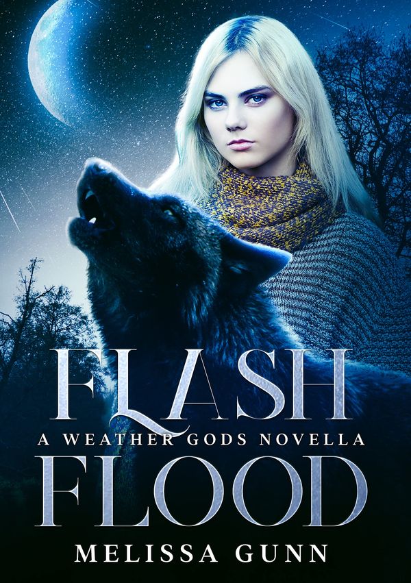 Flash Flood Book Cover