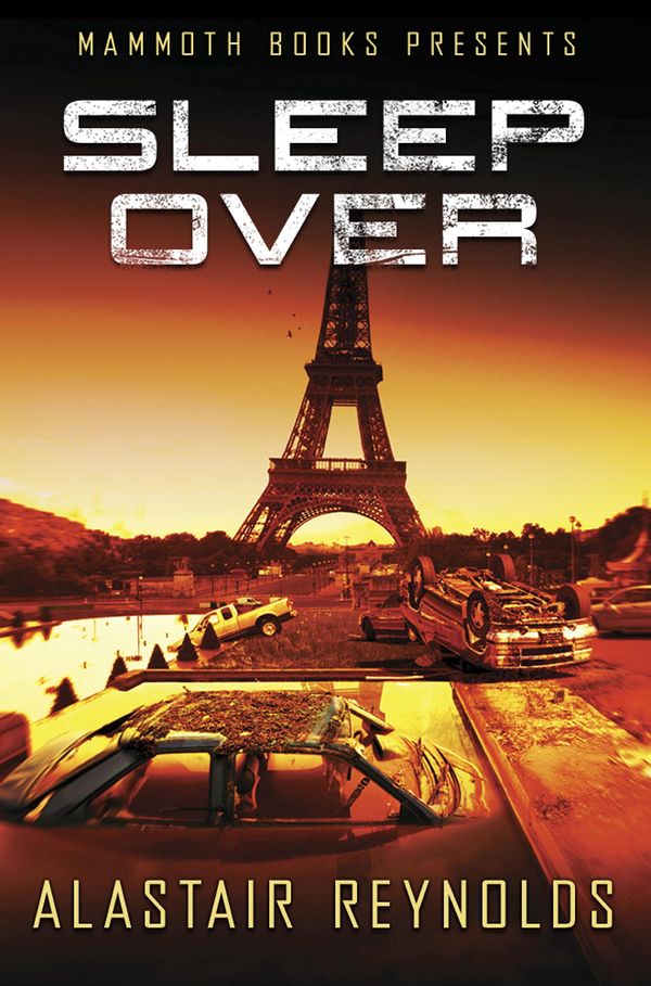 Sleepover Book Cover