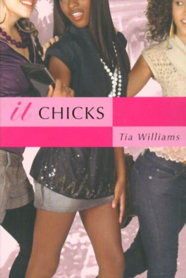 It Chicks Book Cover