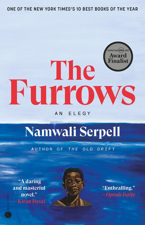The Furrows Book Cover