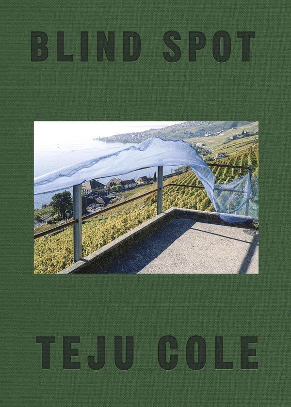 Blind Spot Book Cover