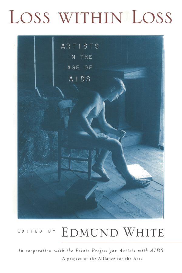 Loss within Loss: Artists in the Age of AIDS Book Cover