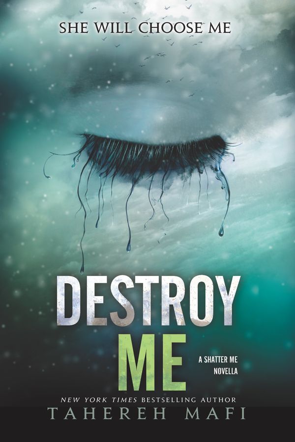 Destroy Me Book Cover