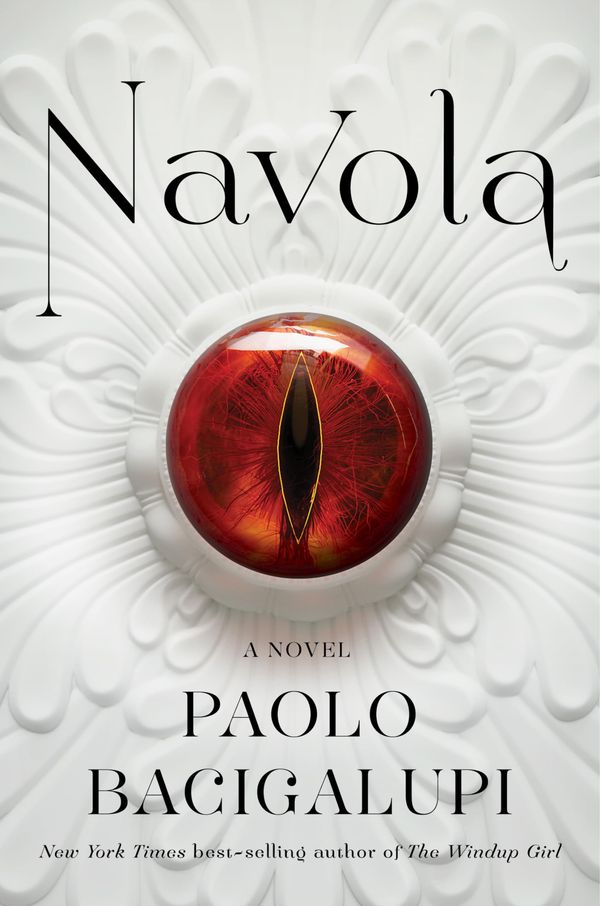 Navola Book Cover