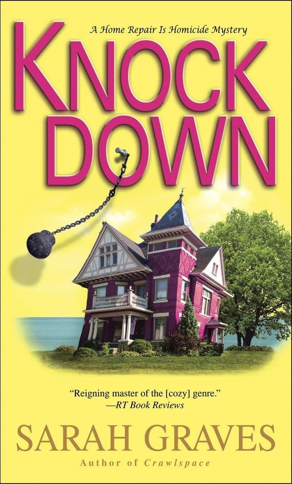 Knockdown Book Cover