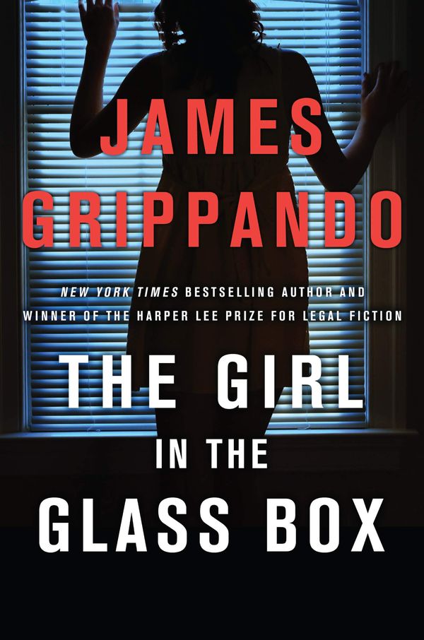 The Girl in the Glass Box Book Cover