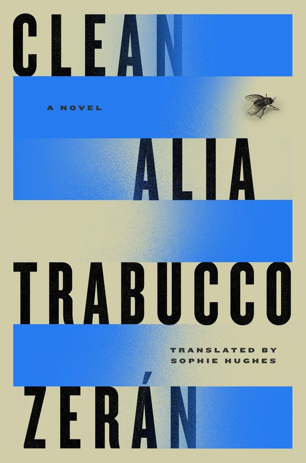 Clean Book Cover