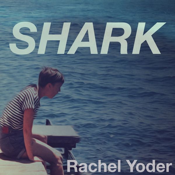 Shark Book Cover