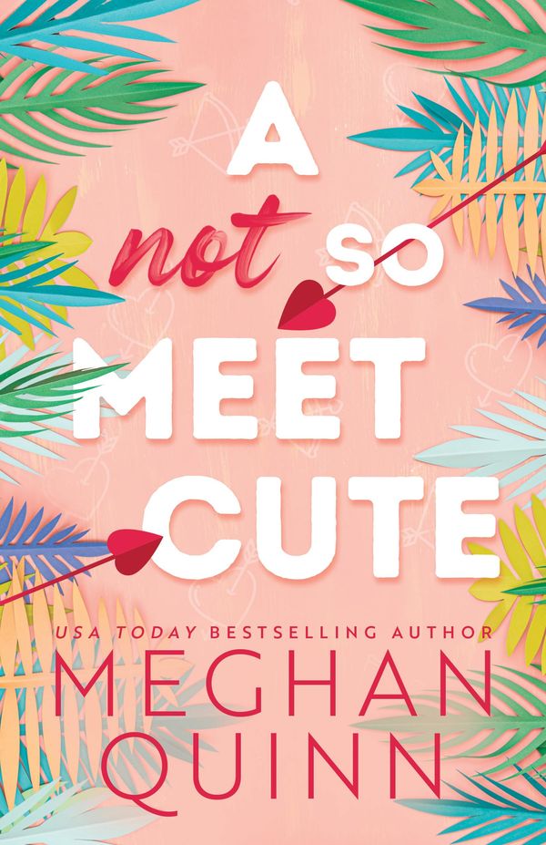 A Not So Meet Cute Book Cover