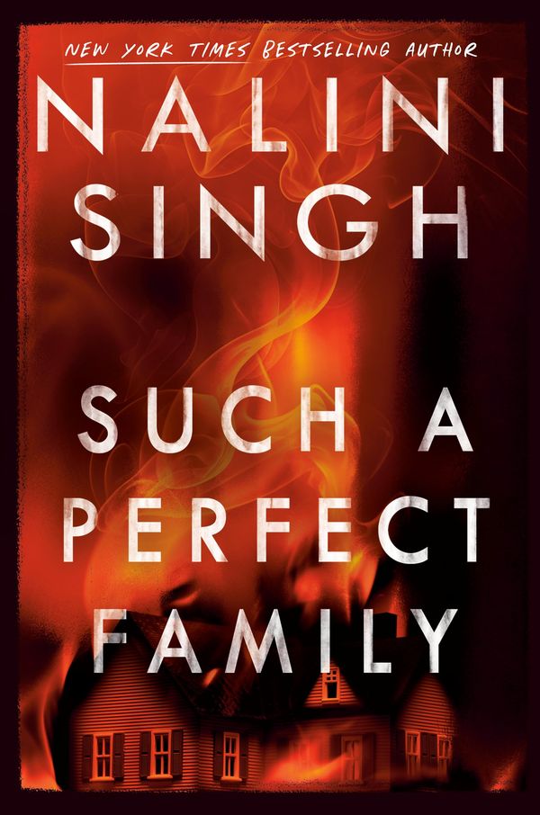 Such a Perfect Family Book Cover