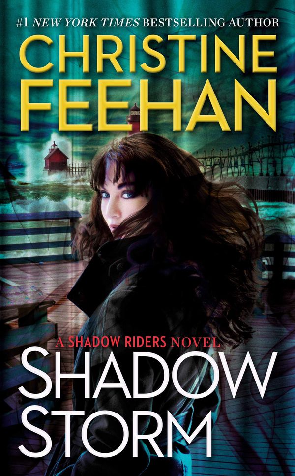 Shadow Storm Book Cover