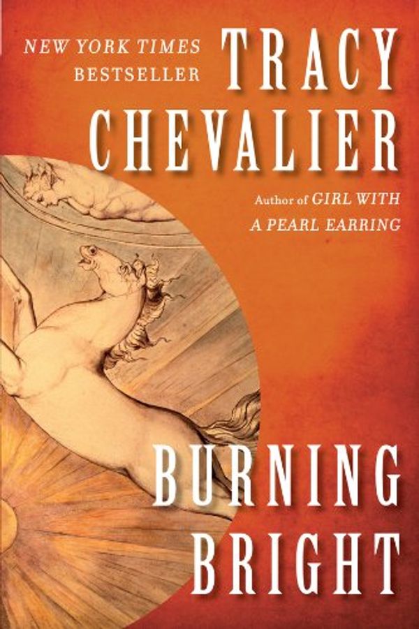 Burning Bright Book Cover