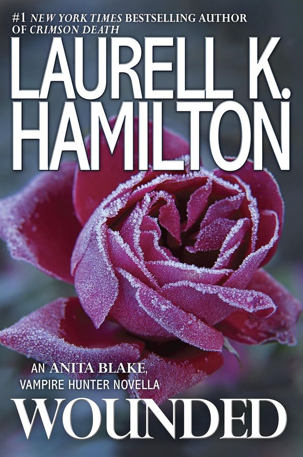 Wounded Book Cover