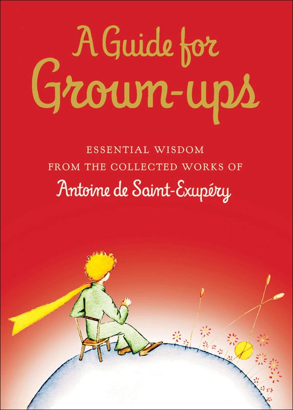 A Guide for Grown-ups Book Cover
