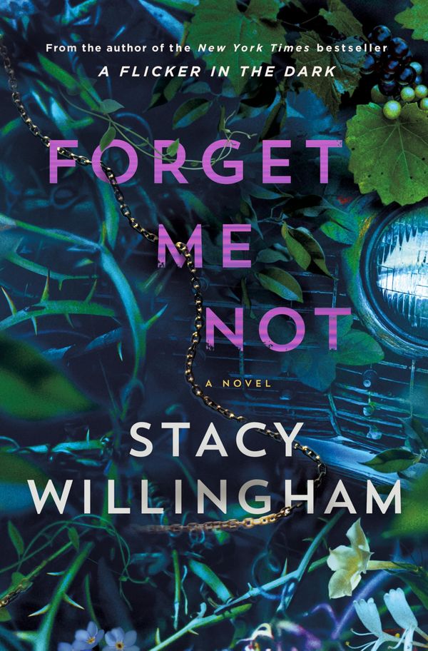 Forget Me Not Book Cover