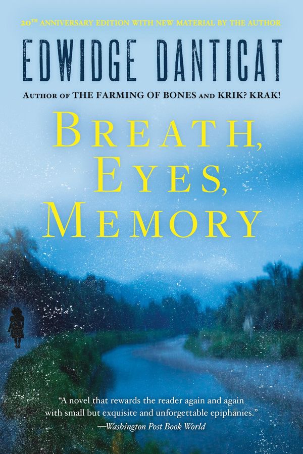 Breath, Eyes, Memory Book Cover