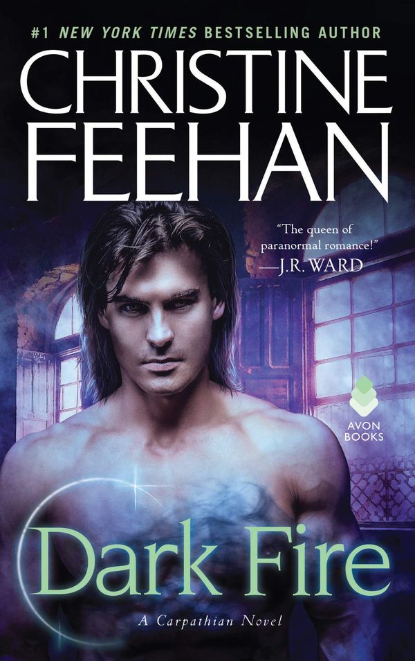 Dark Fire Book Cover
