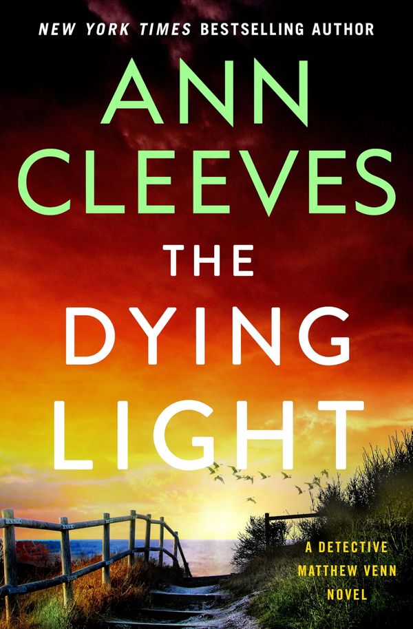 The Dying Light Book Cover
