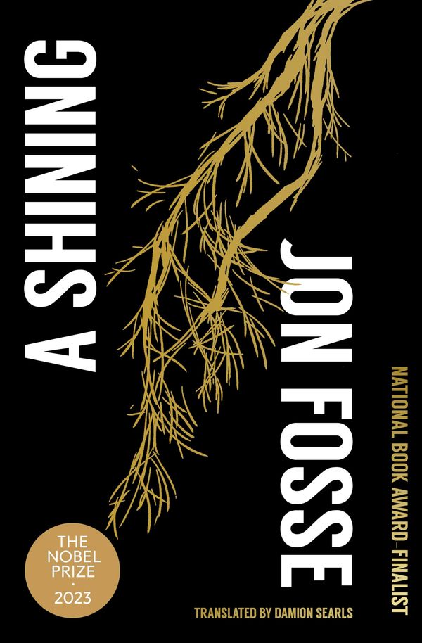A Shining Book Cover