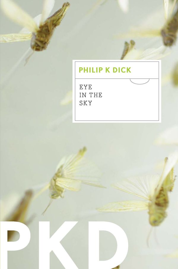 Eye In The Sky Book Cover