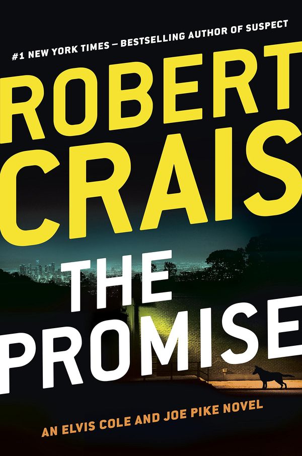 The Promise Book Cover