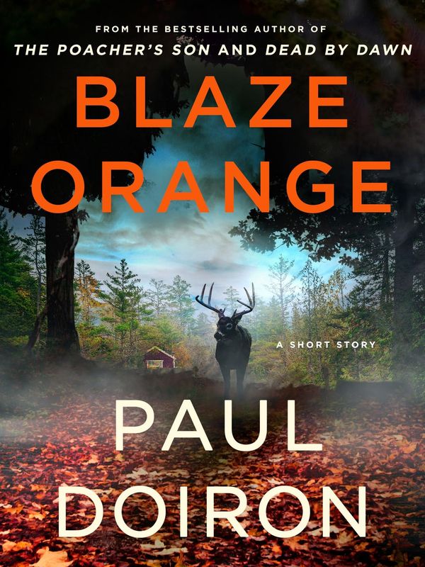 Blaze Orange Book Cover
