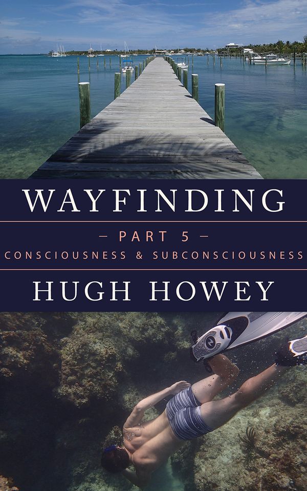 Consciousness and Subconsciousness Book Cover