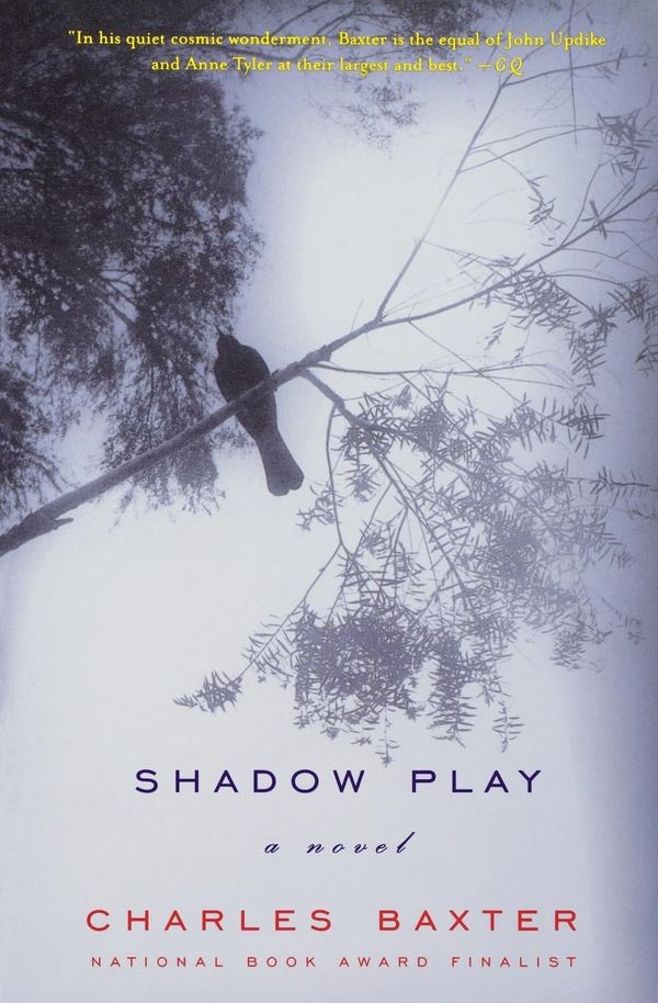 Shadow Play Book Cover