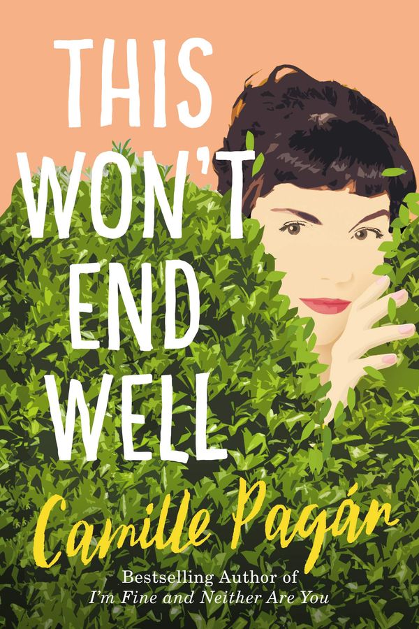 This Won't End Well Book Cover