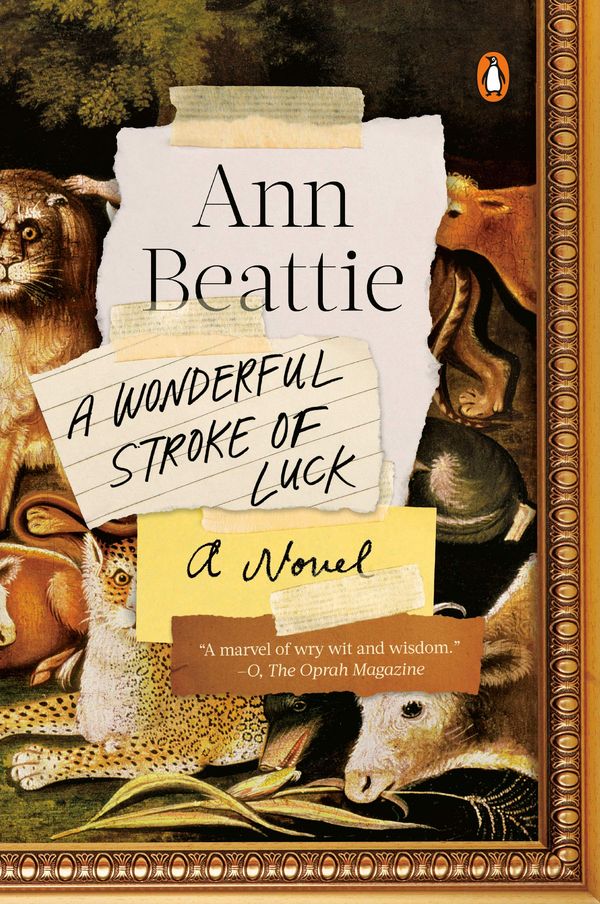 A Wonderful Stroke of Luck Book Cover