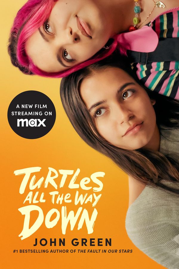 Turtles All the Way Down Book Cover