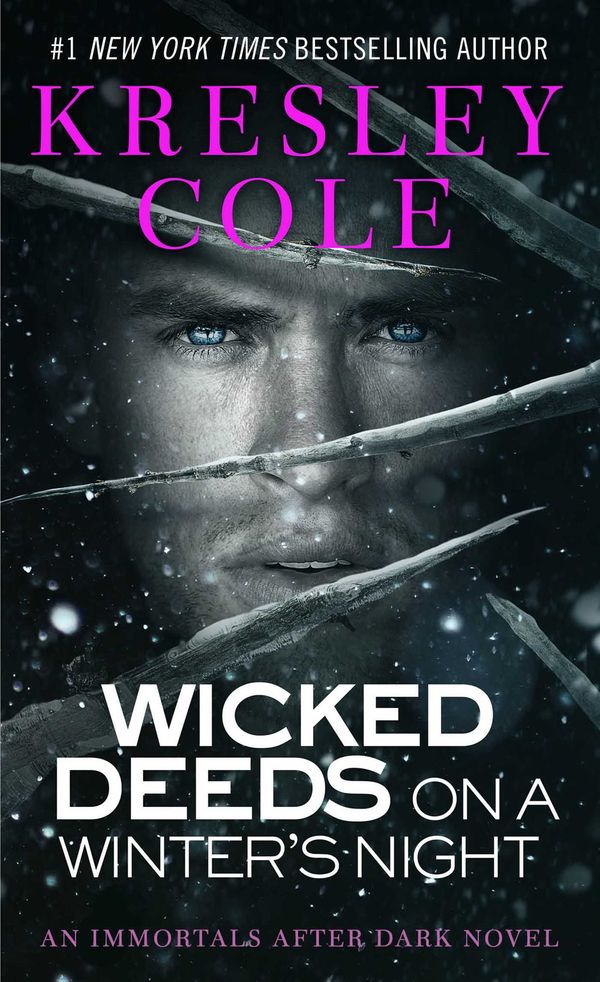 Wicked Deeds on a Winter's Night Book Cover