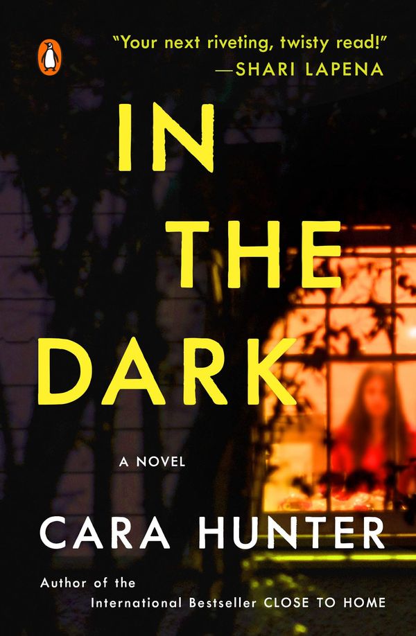 In the Dark Book Cover